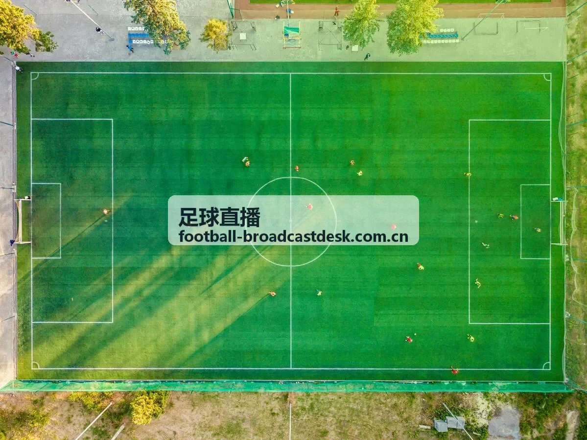 足球直播数据统计订阅提醒